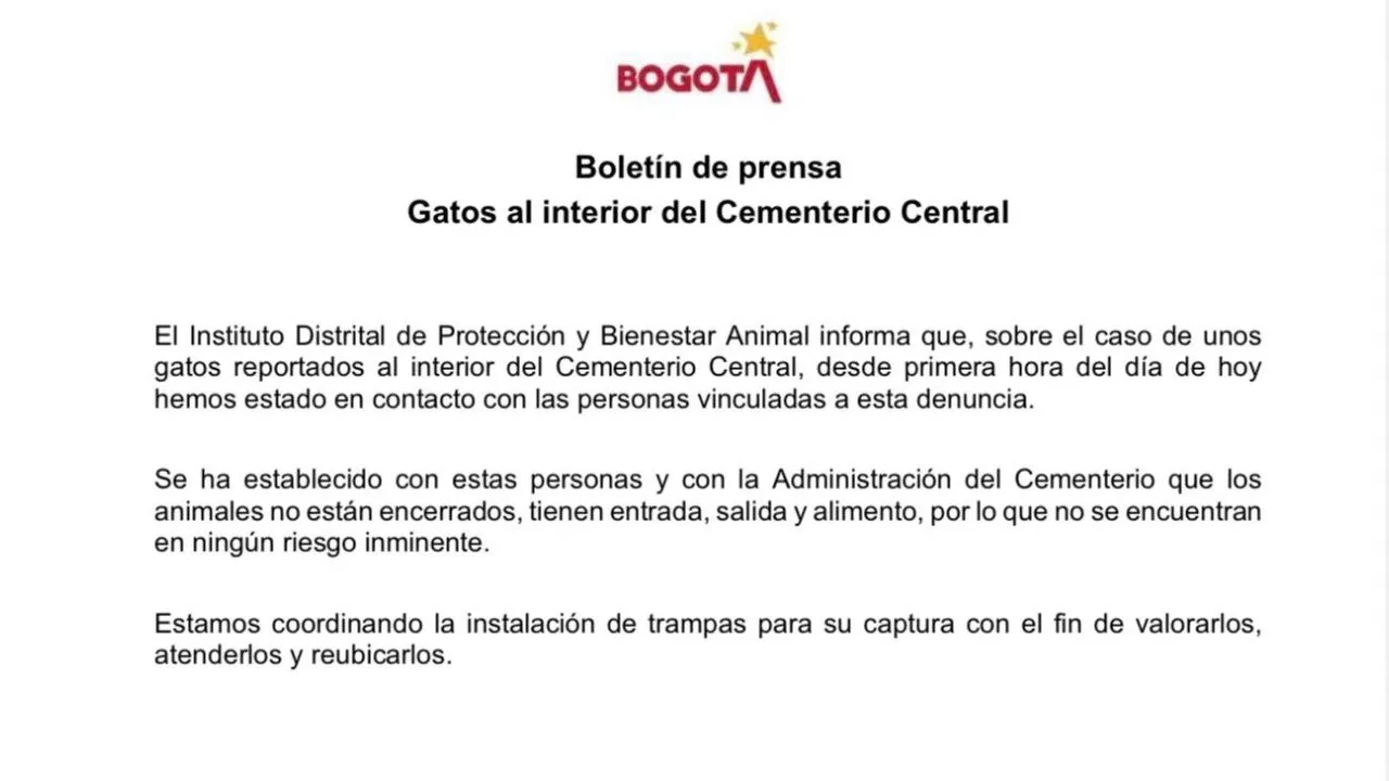 imagen dada